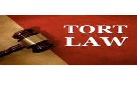 eBook__Law of torts and motor vehicle act