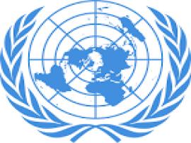 Call for Book Chapters on “Reforms at the United Nations”: Submit by April 10