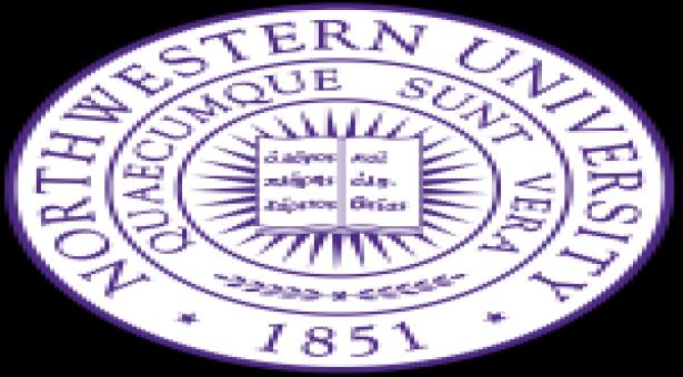 Course on Organizational Leadership by Northwestern University [Online, 5 Months]: Enroll Now