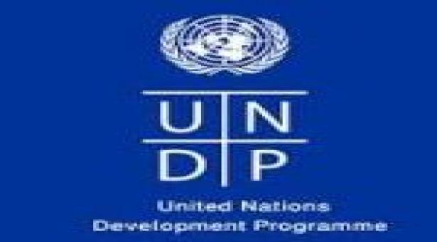 JOB POST: Programme Specialist at UNDP, New Delhi: Apply by Aug 12