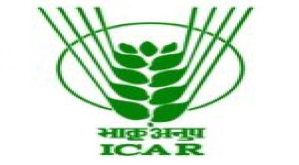 JOB POST: Young Professionals (Legal) at Indian Council of Agricultural Research (ICAR) [3 Vacancies], Delhi: Apply by Sep 21